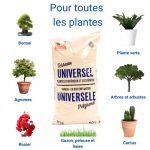 Terreau Potager & Aromates La Plaine Chassart 50L - Riche En Nutriments, Tourbe Et Biochar - Prêt à L'Emploi